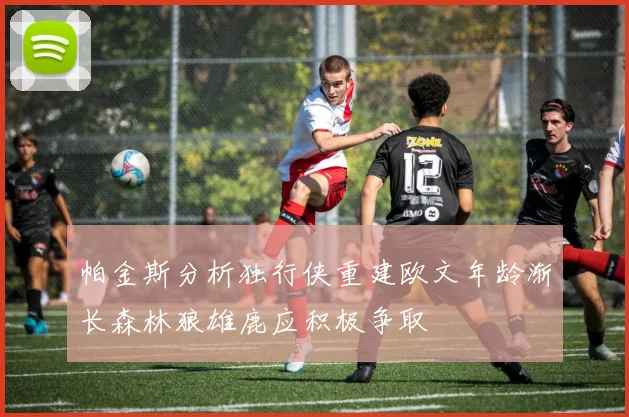 帕金斯分析独行侠重建欧文年龄渐长森林狼雄鹿应积极争取